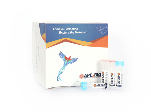 Fluorometric Monoamine Oxidase Assay Kit