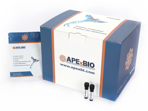 Hoechst 33258 Solution (1 mg/mL)