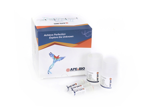 Native-PAGE Gel Preparation and Electrophoresis Kit (PI > 7.0)