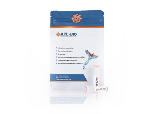 Anti-MAD2L1 Binding Protein Rabbit Monoclonal Antibody