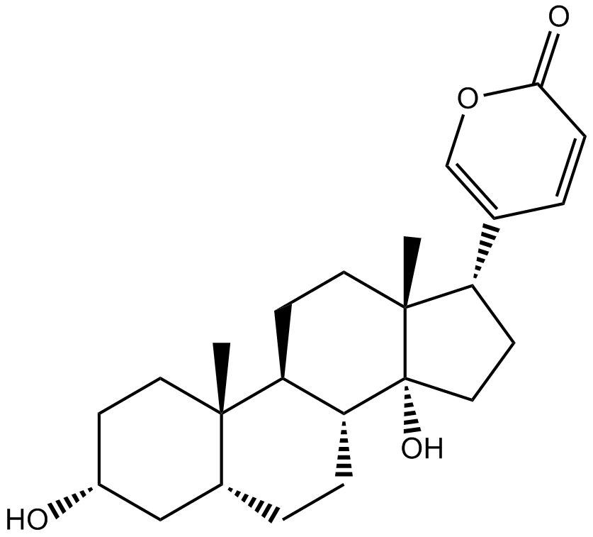 Bufalin