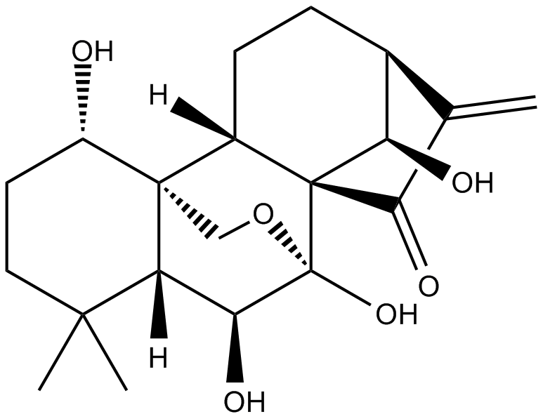 Oridonin