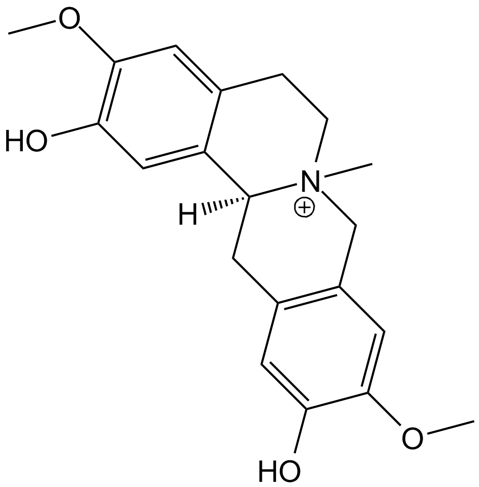 Phellodendrine