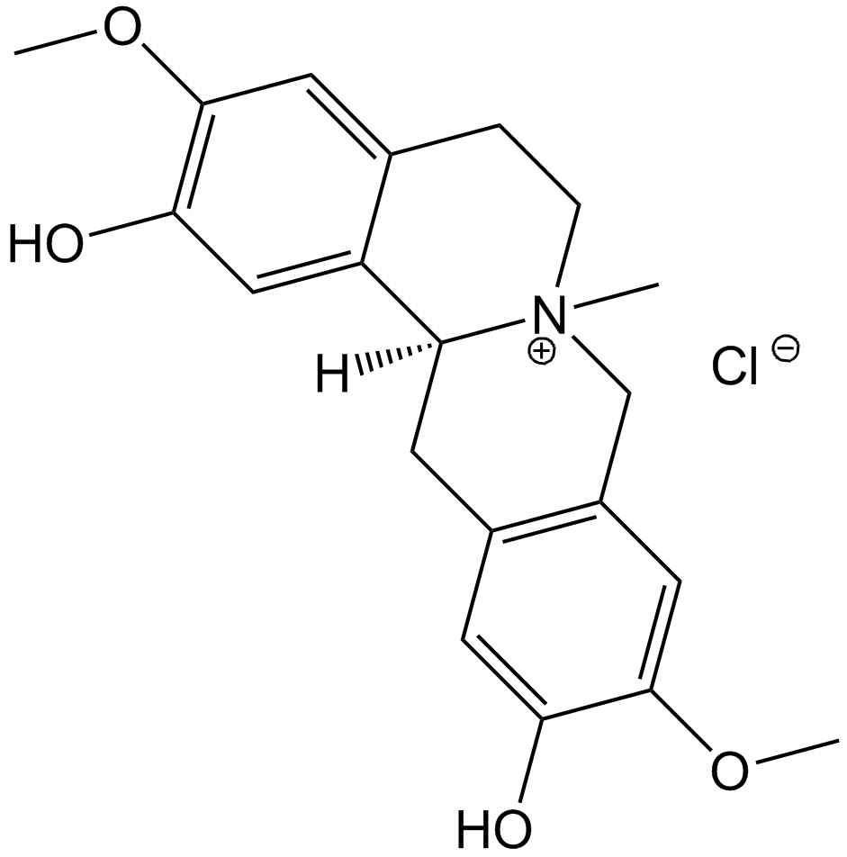 Phellodendrine chloride
