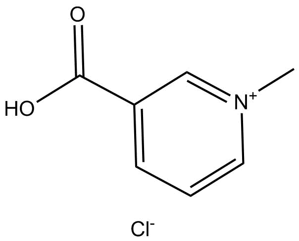 Trigonelline Hydrochloride