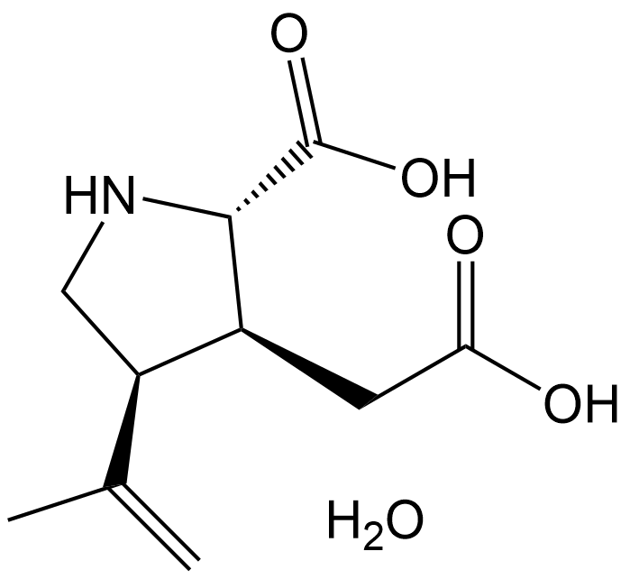 Kainic acid monohydrate