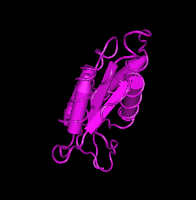 GM-CSF, murine recombinant