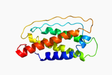 IL-7, murine recombinant