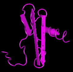 SDF-1beta (CXCL12), human recombinant