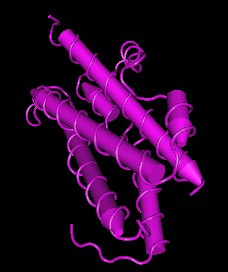 Oncostatin M, human recombinant protein